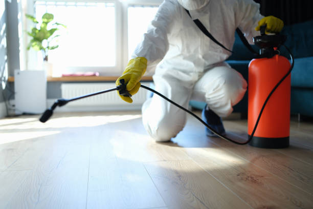 Reliable Biohazard Cleanup contractor in New London, TX by Crime Scene Cleaner Online